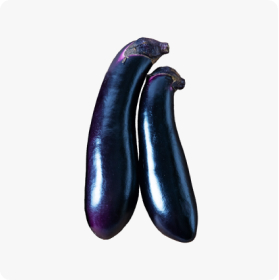 ナス
