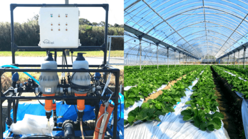 養液栽培の種類と潅水施肥方法 メリット デメリットも解説 養液栽培の種類と潅水施肥方法 メリット デメリットも解説