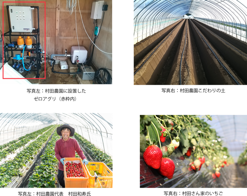 日本有数のイチゴ生産者 村田農園同等の収穫量 食味を実現 次世代養液土耕システム ゼロアグリ イチゴ施設土耕栽培で成果 日本有数のイチゴ生産者 村田農園同等の収穫量 食味を実現 次世代養液土耕システム ゼロアグリ イチゴ施設土耕栽培で成果