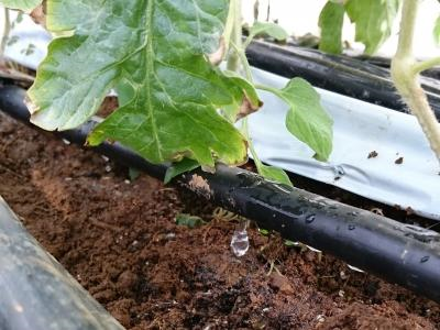 養液土耕栽培とは Ai潅水施肥ロボットzero Agri ゼロアグリ 養液土耕栽培とは Ai潅水施肥ロボットzero Agri ゼロアグリ