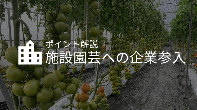 企業の農業参入～施設園芸における成功のポイントを解説～
