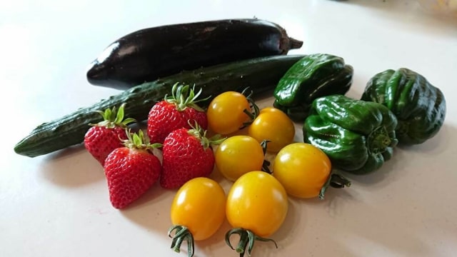 熊本県の施設園芸と野菜生産②　ー主要施設野菜の生産出荷の概要ー