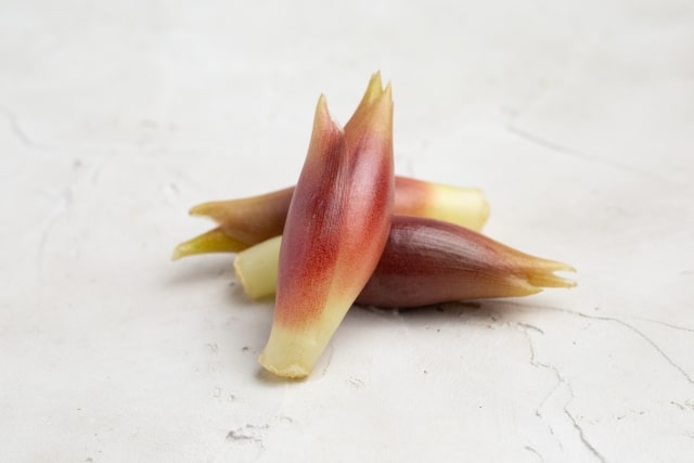 高知県の施設園芸と野菜生産③ ー産出額全国トップのナス、ミョウガ、ニラの栽培ー