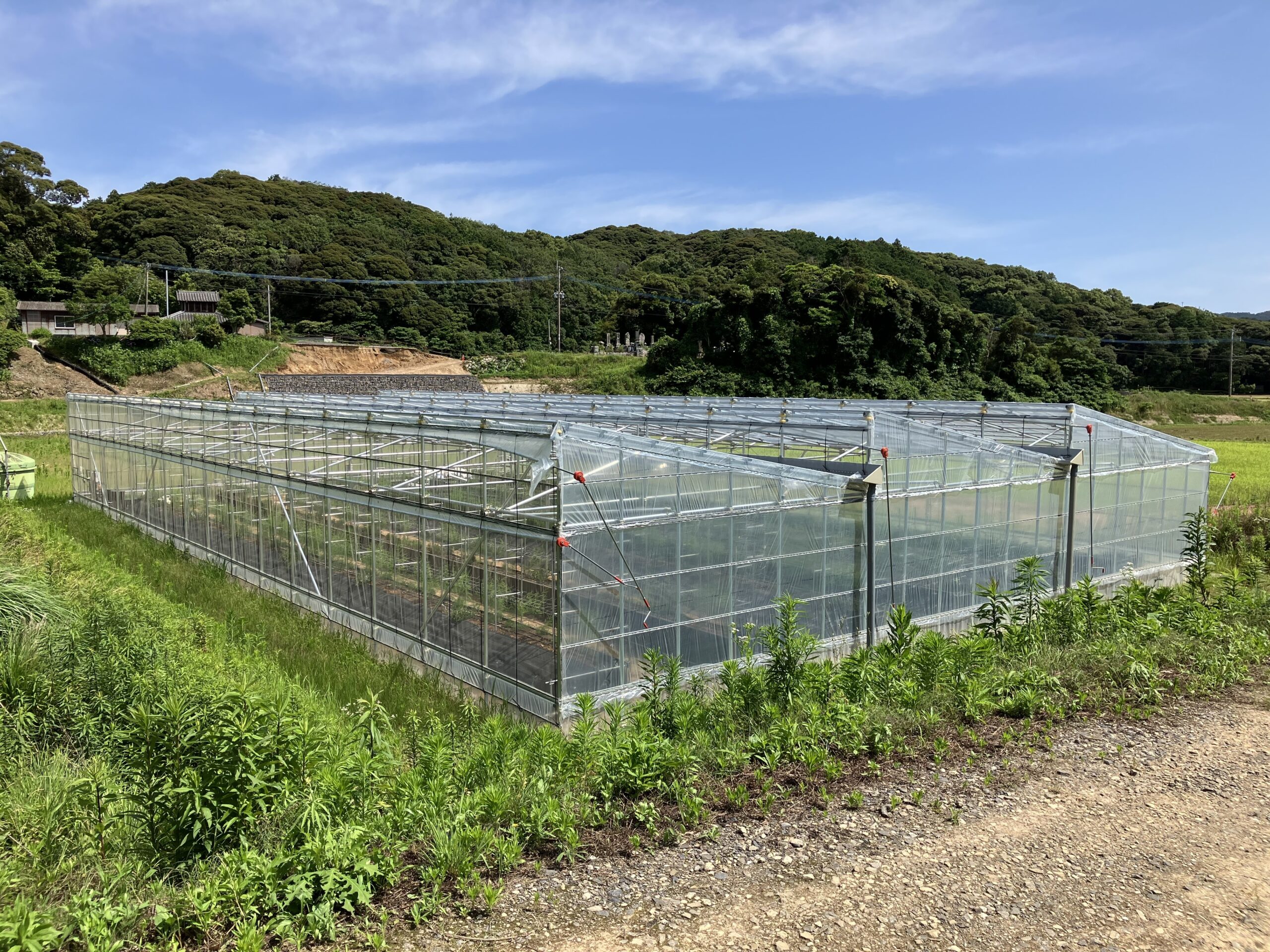 ルートレック・ファーム２