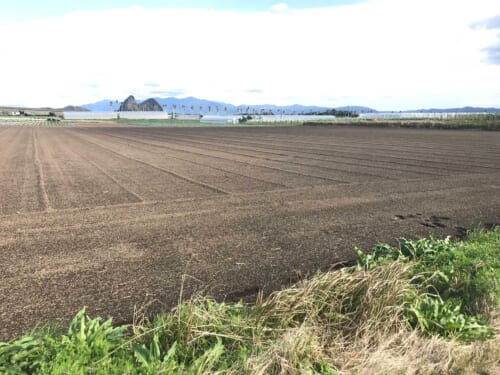 土地の均平化と客土