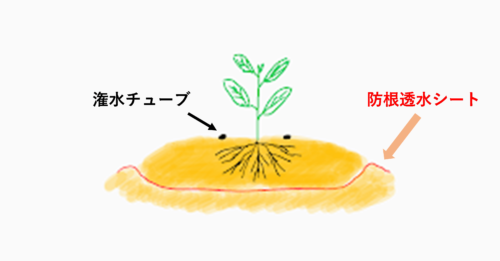 隔離栽培イメージ図