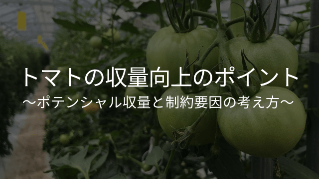 トマトの収量向上